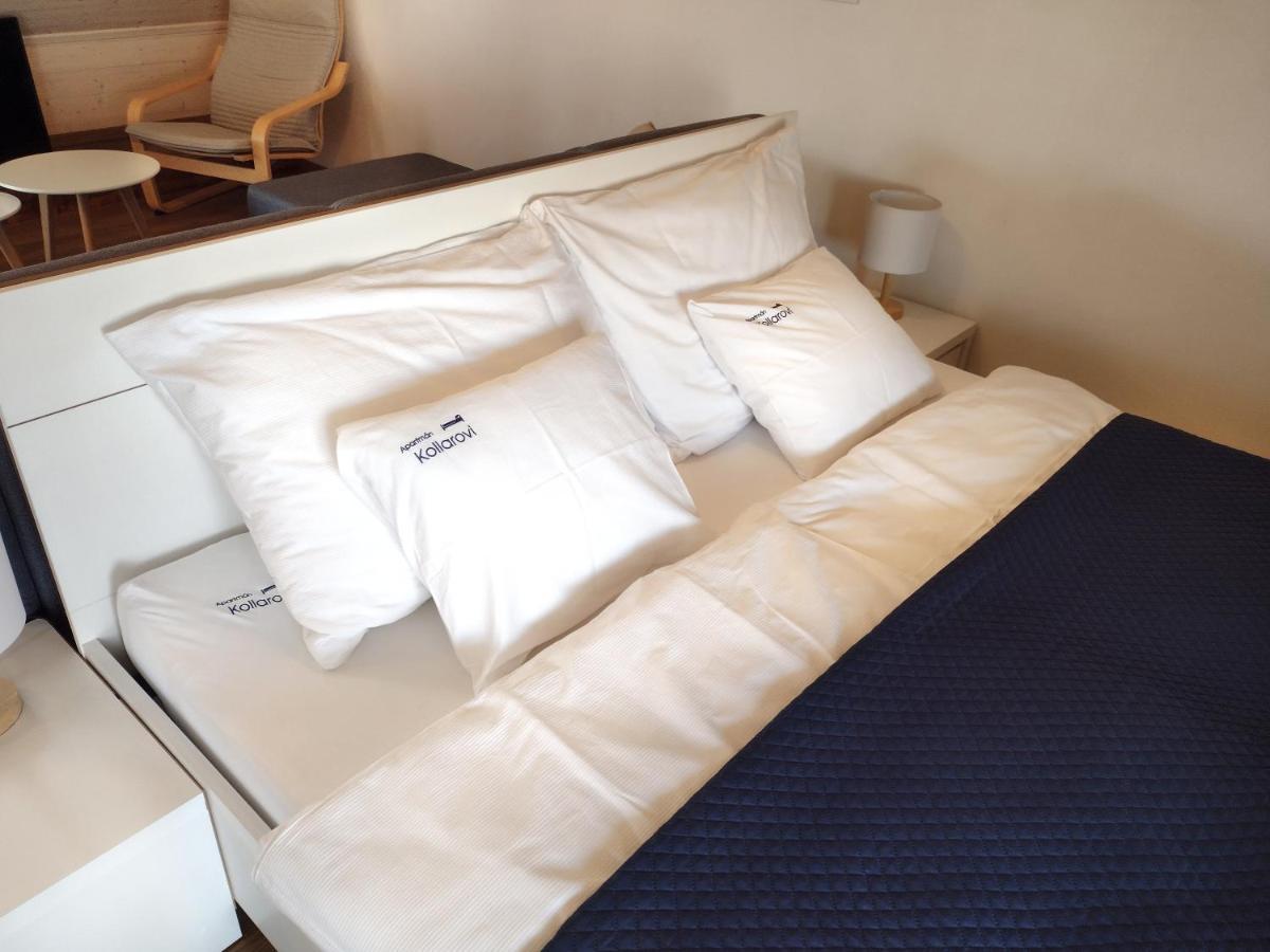 Apartman Kollarovi Ceske Budejovice Extérieur photo